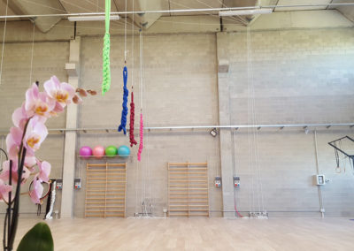 Serpentina a pavimento THAR – Palestra Stria Aerial Lab